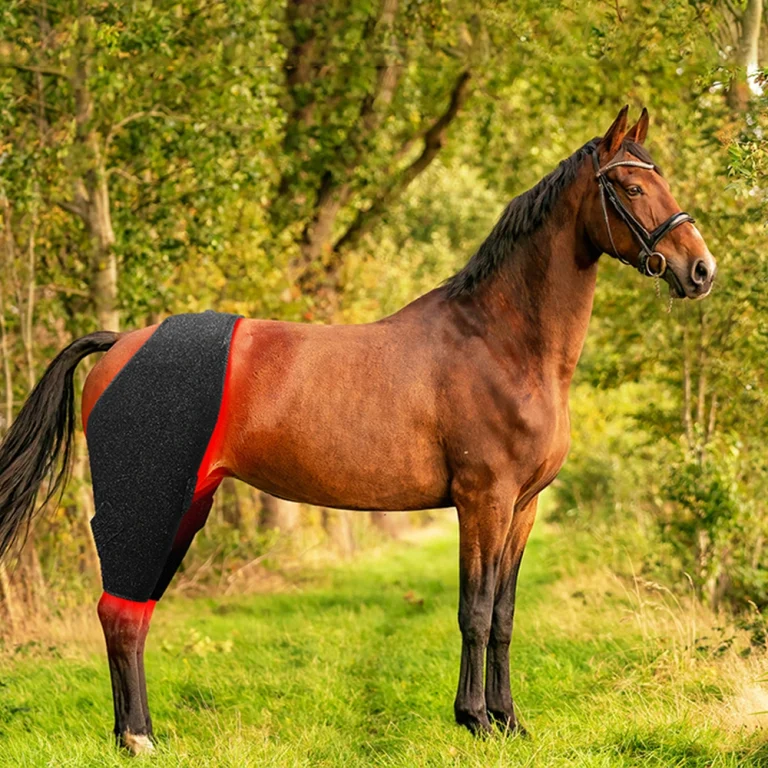 Horse Red Light Therapy Pad-1