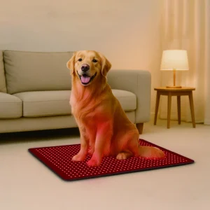 BE700 Red Light Therapy Pad for Gogs Supplier & Manufacturer